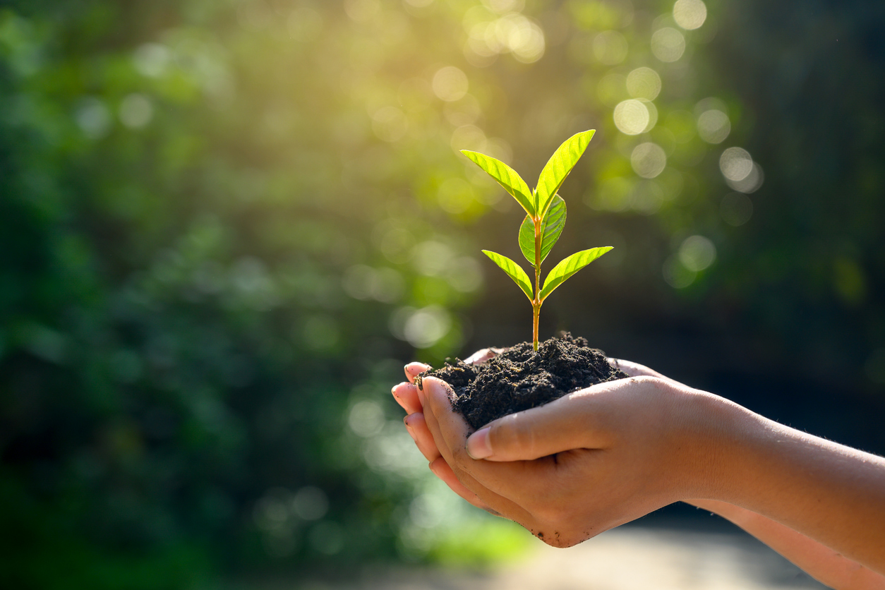 klimaatneutraal wonen en werken